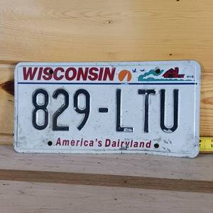 lot 72 image: Wisconsin  embossed plate � 12 inches