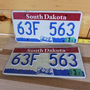 lot 91 image: Set of 2 South Dakota 2002 � matching set, raised letters, full size 12 inch plate