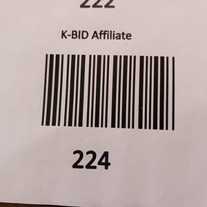 lot 224 image: Schmidts and Colt 45 Vintage Cans