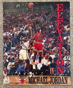 lot 90 image: Michael Jordan Elevation Basketball Poster