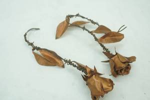 lot 669 image: Copper Roses 10 & 12 long