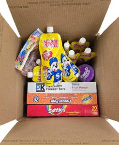 lot 93 image: Variety Brands of Freezer Pops & Food- NEW