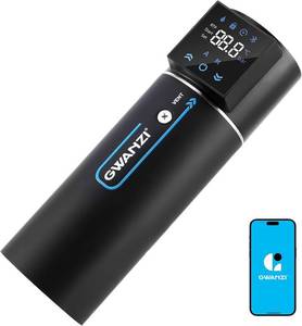 lot 4 image: Gwanzi 800W Whole House Variable Speed Water Pressure Booster Pump