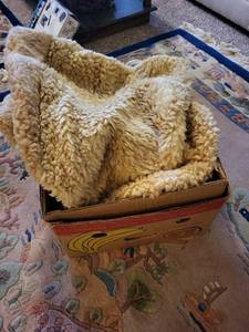 lot 359 image: Pair of Sheepskin Car Seat Covers with Straps