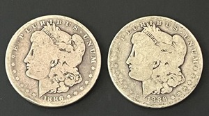 Pair of 1886 Morgan Silver Dollars