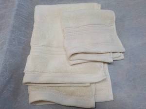 lot 98 image: 2 pc Hand Towel and Washcloth Set ...