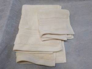 lot 99 image: 2 pc Hand Towel and Washcloth Set ...