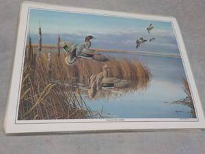 lot 135 image: 25 or so Maass Placemats...