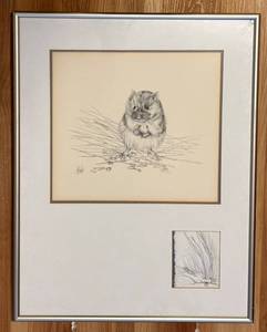 lot 126H image: LL - Framed Vintage Pencil Drawing of American Pika by Liz McMahon