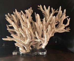 lot 109R image: MB - Large White Coral Decor on Lucite Base
