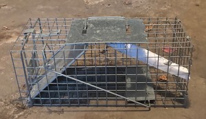 lot 405R image: G - Havahart Small Animal Live Trap