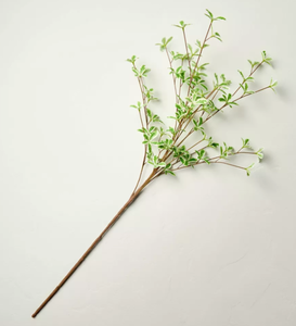 lot 100 image: LOT OF 5 Packs Of 4 Hearth & Hand� 36 Faux Variegated Terminalia Leaf Branch - Hearth & Hand� with Magnolia