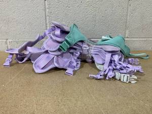 lot 247 image: LOT OF 10 Vibrant Life Small Dog Harness