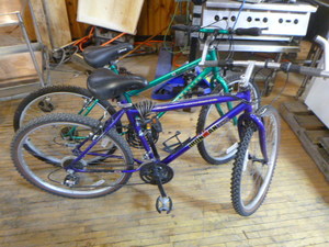 lot 164 image: 2 Adult Bicycles