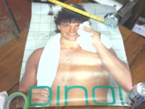 lot 227 image: Vintage Dino Ciccarelli North Star Hockey Poster � Original