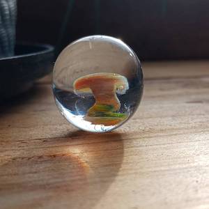 lot 203 image: Borosilicate Mushroom Marble - Torch Work Glass - Happy Hollow Glass - Onsite Artist - Collectors