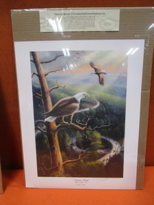 lot 178 image: John Green American Beauty S&N Print 8182000 14x20 Image Size