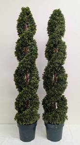 lot 118AL image: Topiary Trees - Pair of 5ft Artificial with 9.5 in Pots