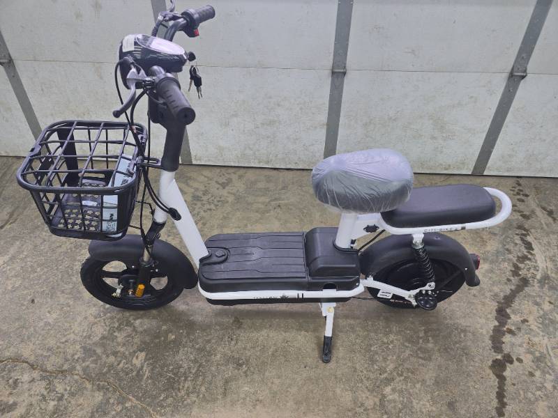 lot 3004 image: FUTURE Electric Bicycle (FT-E48)