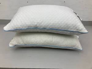 lot 97 image: Set of Two Pillows