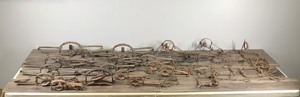 lot 299 image: Lot of 24 Vintage Hunting Traps - Looks like Most of them are Victor - see description for more info
