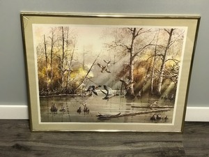 lot 360 image: Framed Print of Mallards in Wooded Pond