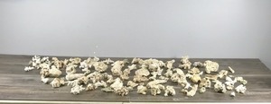 lot 403 image: Large Lot of Small Pieces of Coral & More