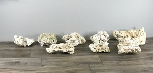 lot 440 image: 8 - Pieces of Coral