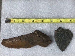 lot 196 image: Possible Fossil & Possible Arrowhead