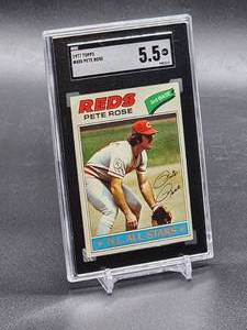 lot 145 image: 1977 Topps Pete Rose Baseball Card #450 SGC 5.5