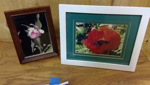 lot 135 image: small brown and white framed Lady slipper prints