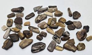 lot 69 image: Large Collection of Genuine Petrified Wood Pieces