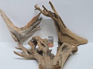 lot 309 image: 3 Large Natural Driftwood Pieces - See Pictures for Size Comparison