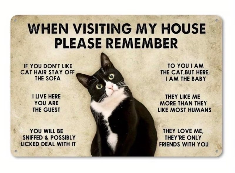 lot 259P image: Please Remember When Visiting My House Cat Metal Wall Decor Sign, 8 x 12 - Brand New