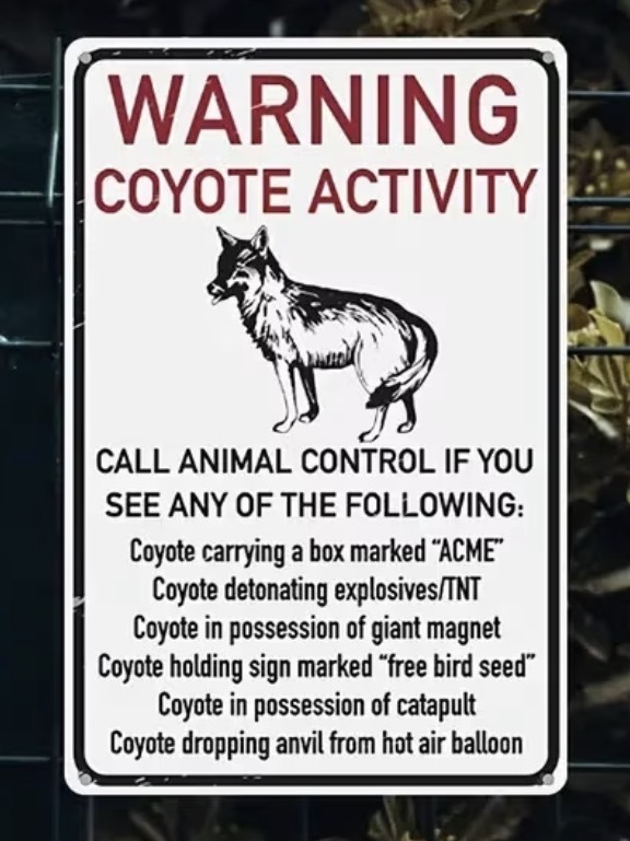 lot 344P image: ACME Warning Coyote Activity 8 x 12 Metal Sign - Brand New
