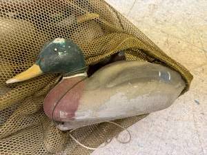 Duck Decoys