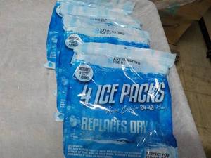 lot 272 image: Everlasting ICE RX 4 bags 4 pack...