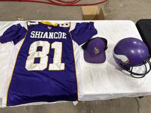 lot 1151 image: Minnesota Vikings Fan Lot
