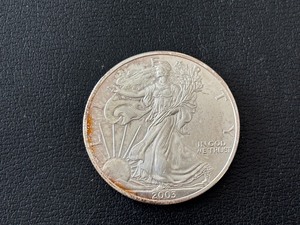 lot 1 image: 2003 Silver Eagle