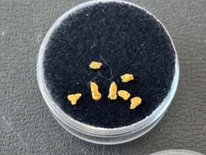 Gold Nuggets .3 Grams