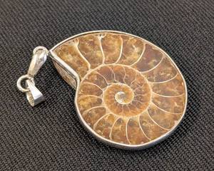 lot 20L image: Fossilized Ammonite Pendant with Silver Tone Setting