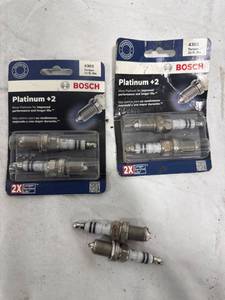 lot 1375 image: Bosch Platinum Spark Plugs Lot