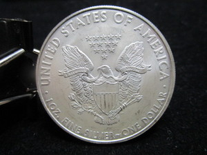 lot 55 image: 2010 American Eagle $1
