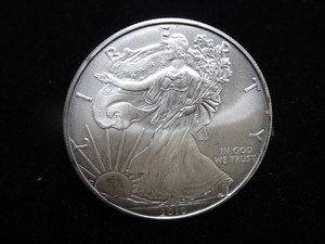 lot 66 image: 2010 American Eagle Silver $1