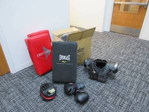 lot 704 image: MIXED MARTIAL ARTS TRAINING EQUIPMENT