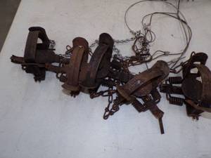 lot 4 image: 5 Double Spring Traps