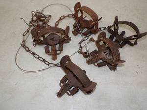 lot 6 image: 5 Double Spring Traps