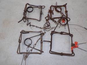 lot 7 image: 4 Conibear Traps 5