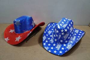 lot 67 image: 2 Party Cowboy Hats