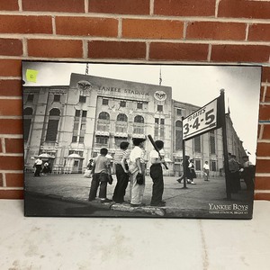 lot 12 image: Yankee Boys at Yankee Stadium